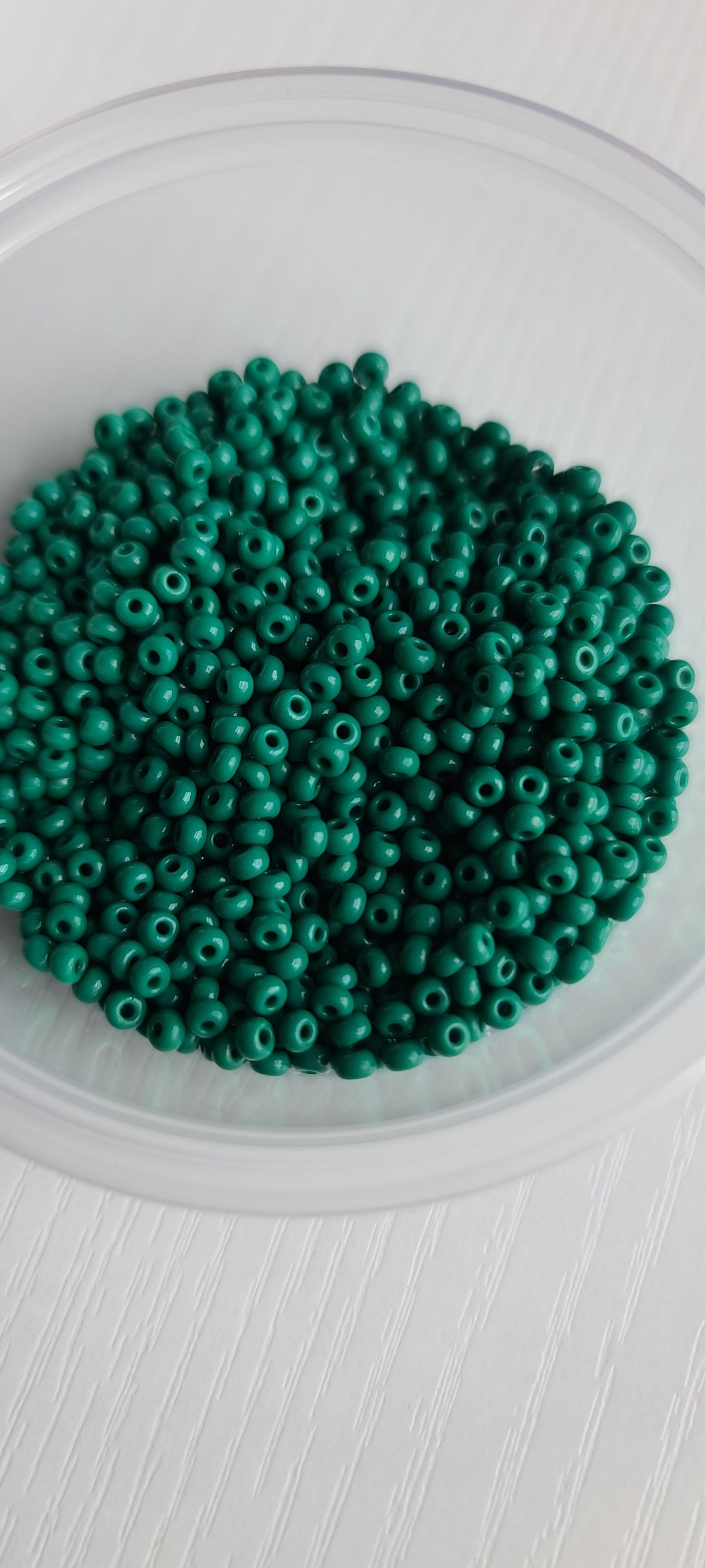 Seed beads and pearl hoops