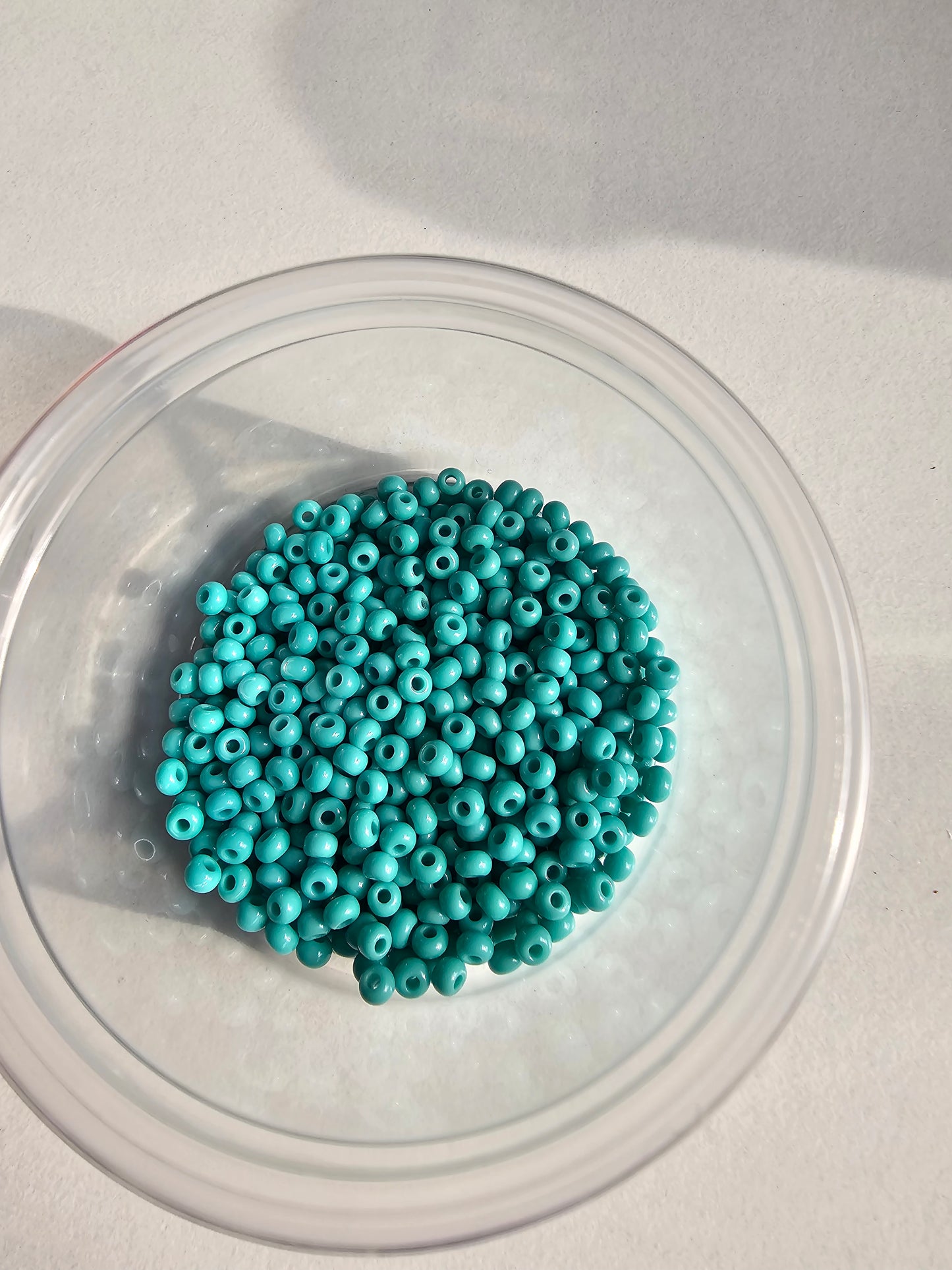 Seed beads and pearl hoops